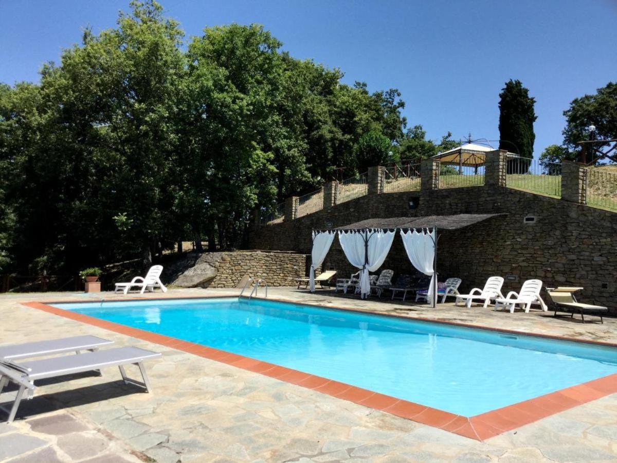 Agriturismo Badia Ficarolo Palazzo del Pero Extérieur photo