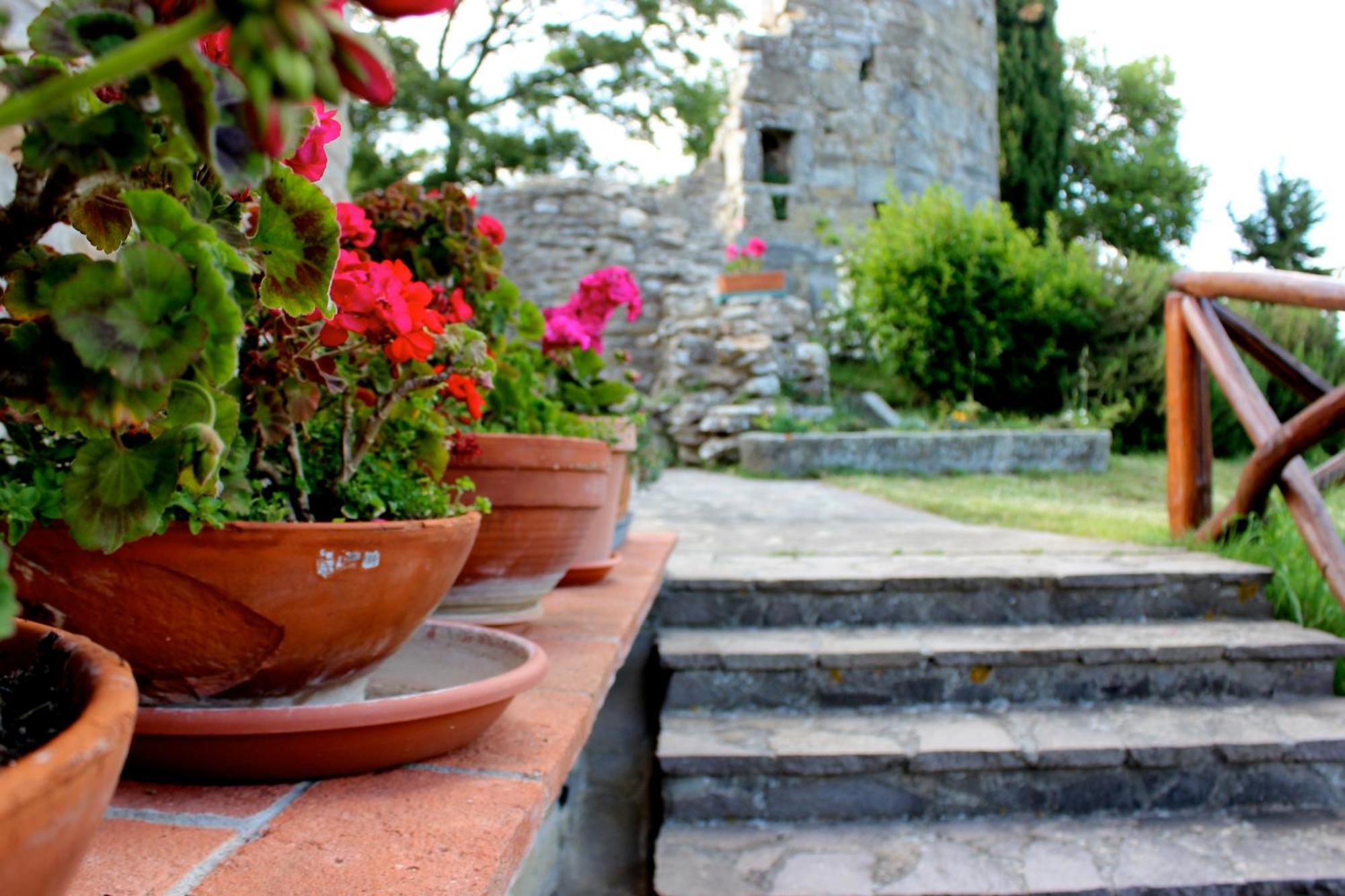 Agriturismo Badia Ficarolo Palazzo del Pero Extérieur photo